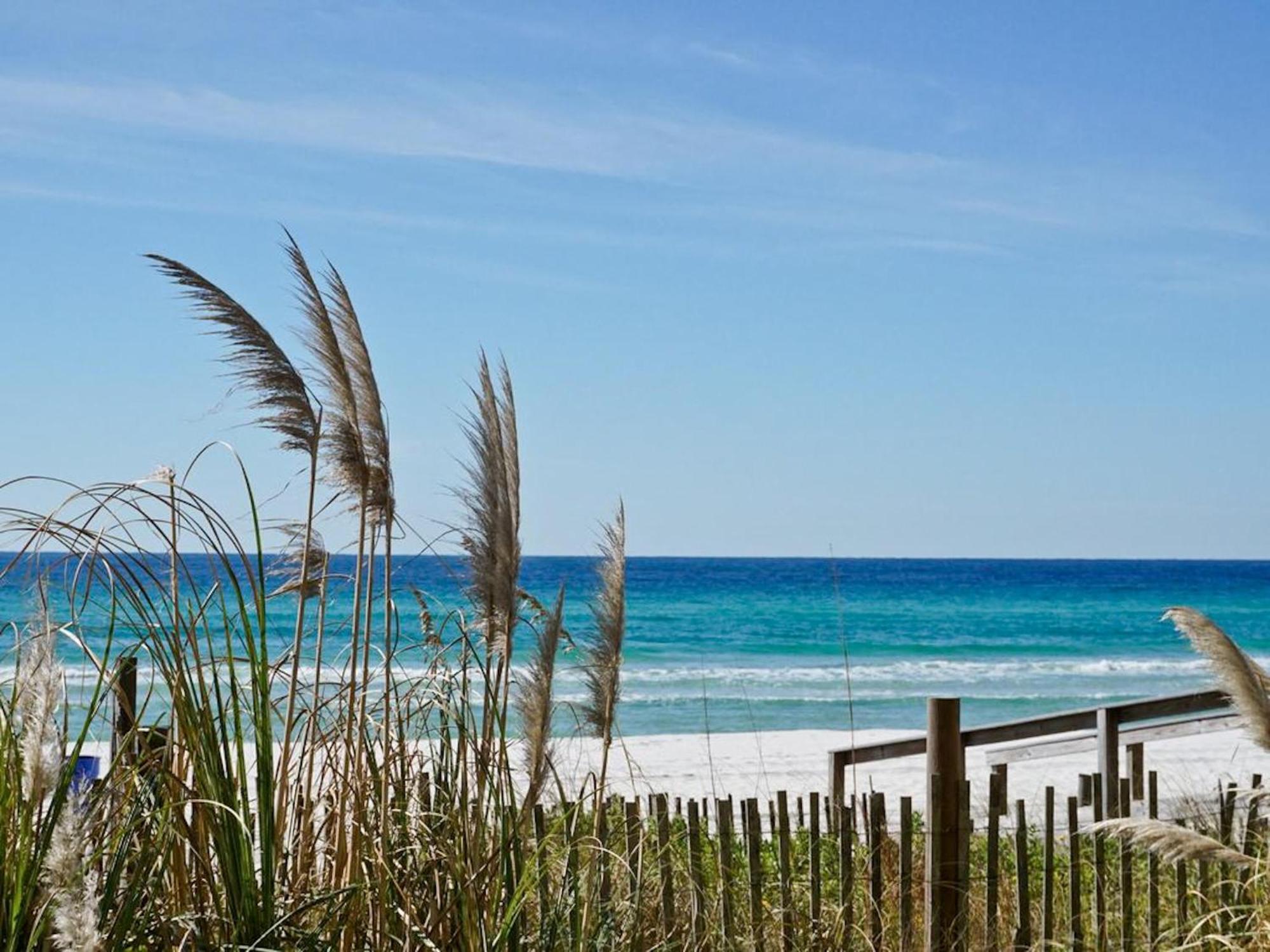 Grandview East 1004 Leilighet Panama City Beach Eksteriør bilde